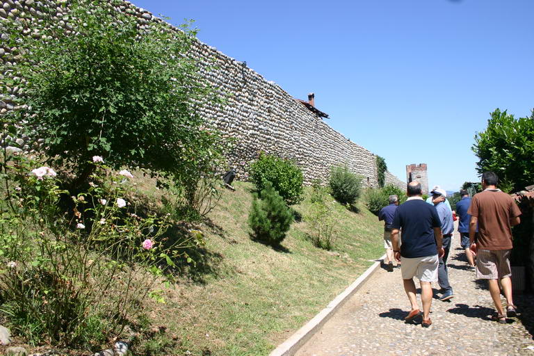 IMG 3447
